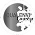 Logo Qualenvi